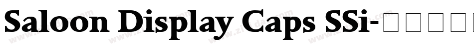 Saloon Display Caps SSi字体转换